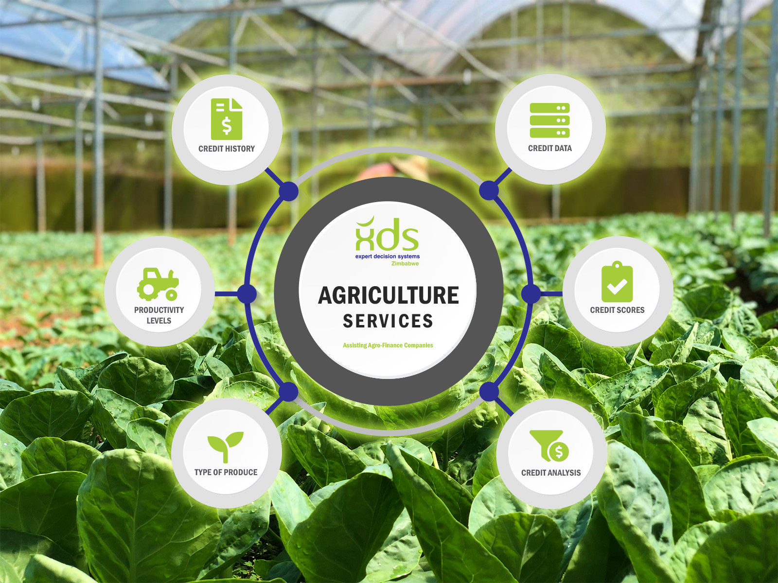 XDS Agricultural Services